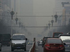 工业废气净化器